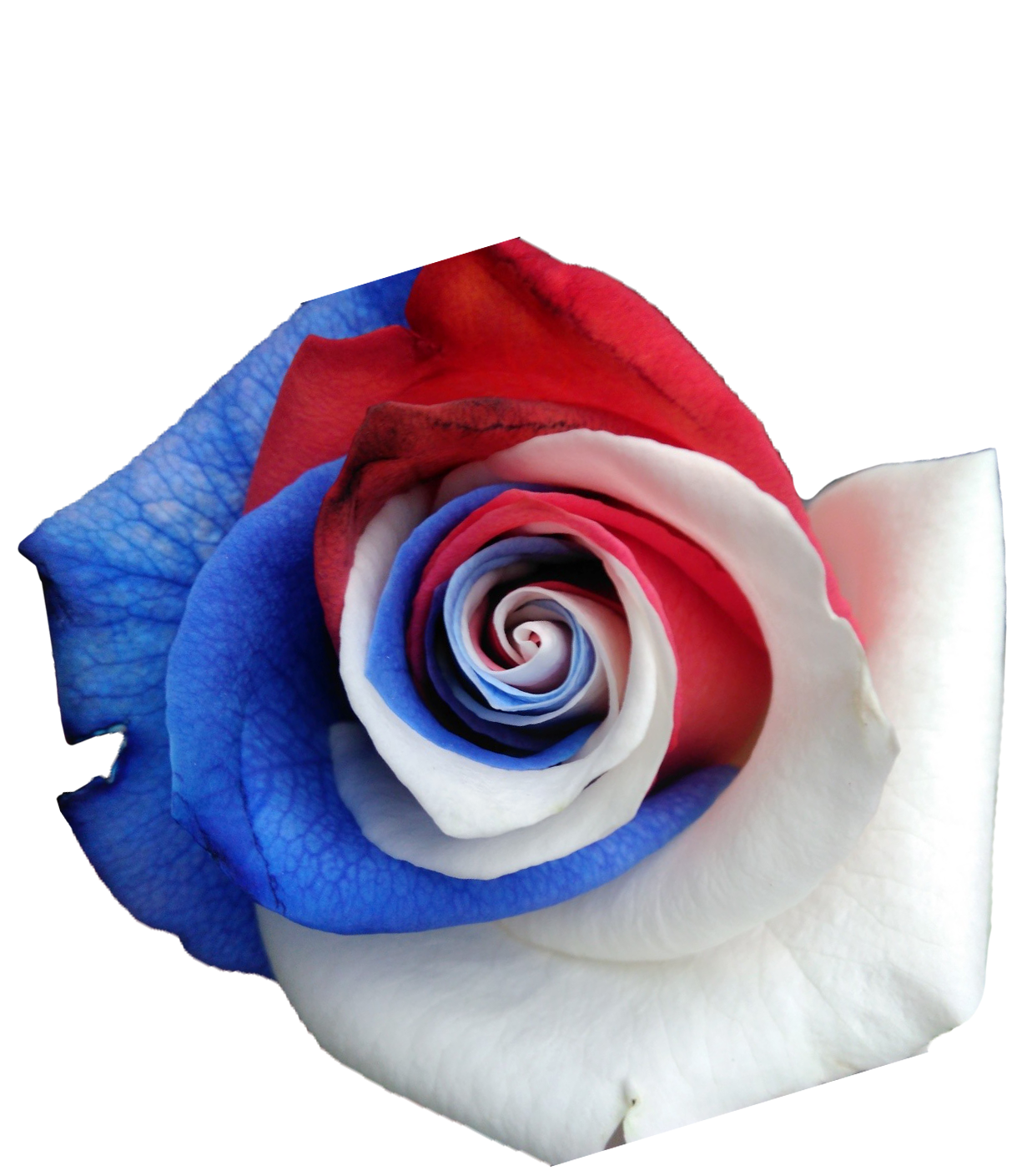 sample photo